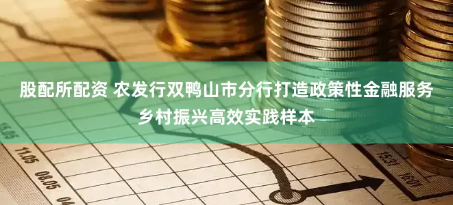 股配所配资 农发行双鸭山市分行打造政策性金融服务乡村振兴高效实践样本