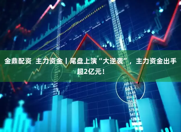 金鼎配资  主力资金丨尾盘上演“大逆袭”，主力资金出手超2亿元！