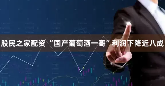 股民之家配资 “国产葡萄酒一哥”利润下降近八成